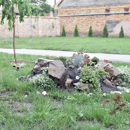 Dora Apartment Backa Topola