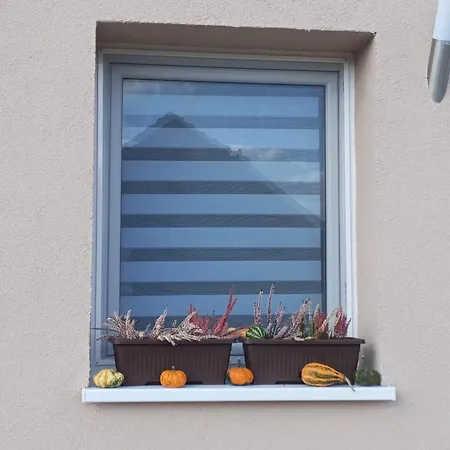 Apartment Dora *