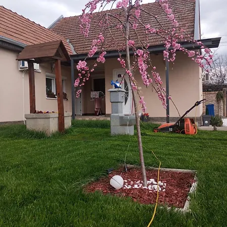 Dora Apartment Backa Topola