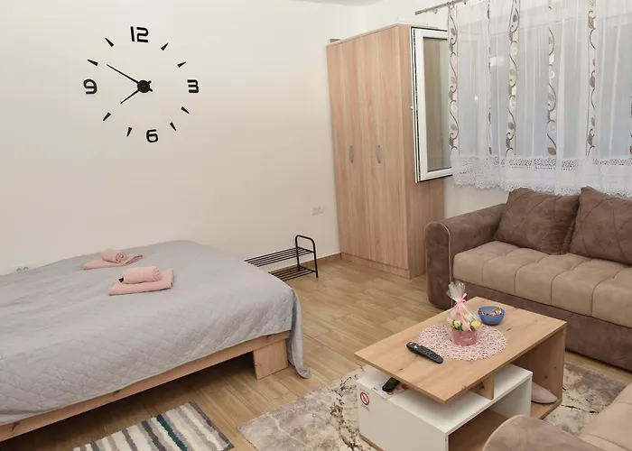 Dora 巴奇卡托波拉