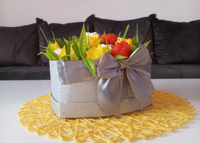 Dora * 巴奇卡托波拉