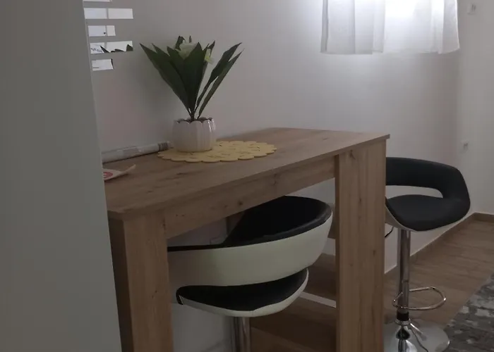 Dora 巴奇卡托波拉