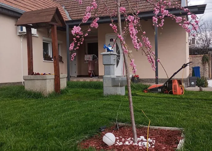 Dora 公寓 巴奇卡托波拉